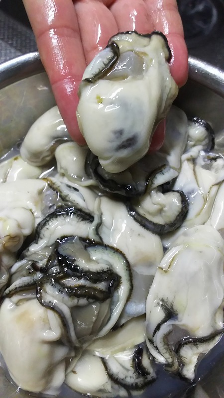 ���낢�����̍D���B�@���y�B