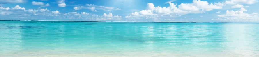 ���낢�����̂ЂƂ育�ƁB�@�����Ɨ��Ƃ��܂�����B