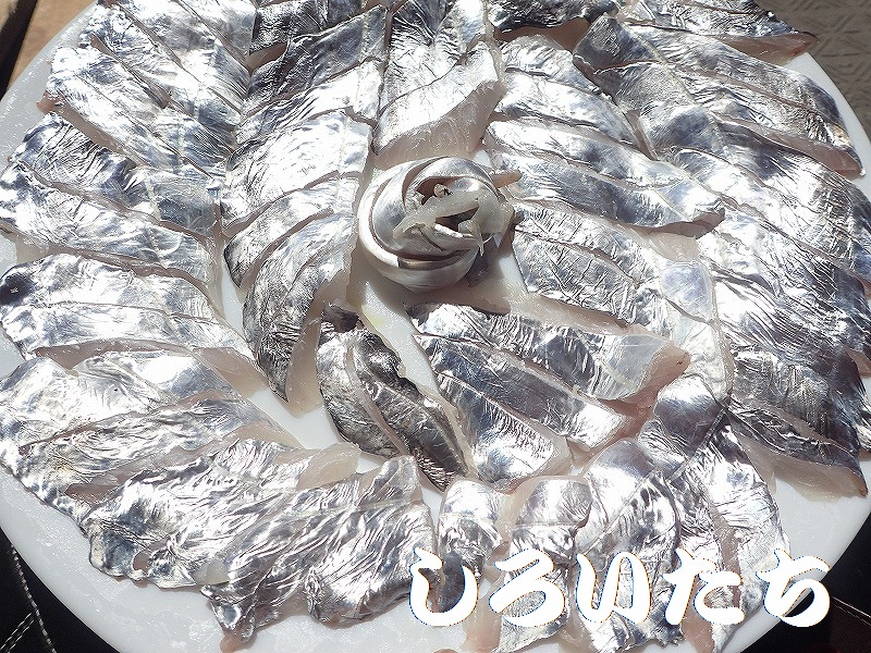 �������傤��A�g���Ă݂܂����B