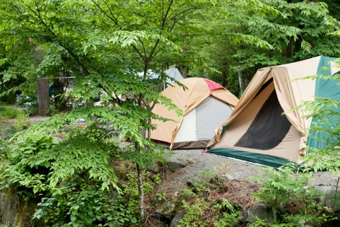 しろいたちのひとりごと。 お金と旅とうまいもん。